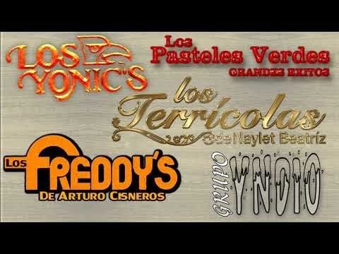 Freddy S Terricolas Indio Pasteles Verdes Yonics 40 Recuerdos Del Ayer Mix Exitos Youtube Canciones Musica Romantica Pastelitos Verdes