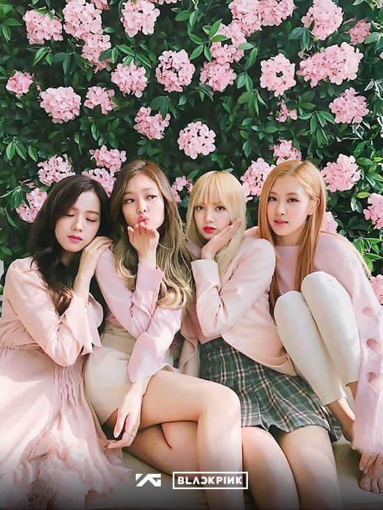 Fotografias de BLACKPINK enviadas pelos usuários do LETRAS.MUS.BR