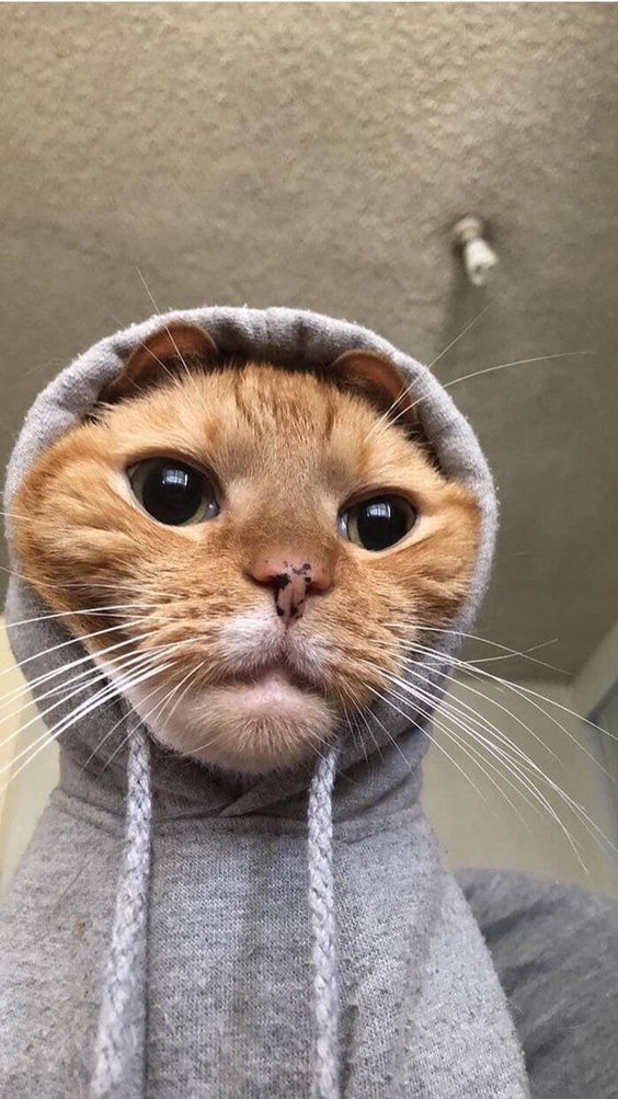 Look at him