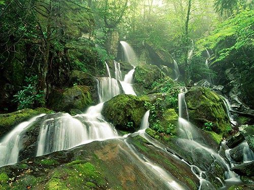 19 Nature Wallpapers For Laptop Hd 50 Georgeous Nature Wallpapers Smashing Magazine Download Wallpaper 1366x768 Park Trees Grass Green Nature S Wallpaper 19