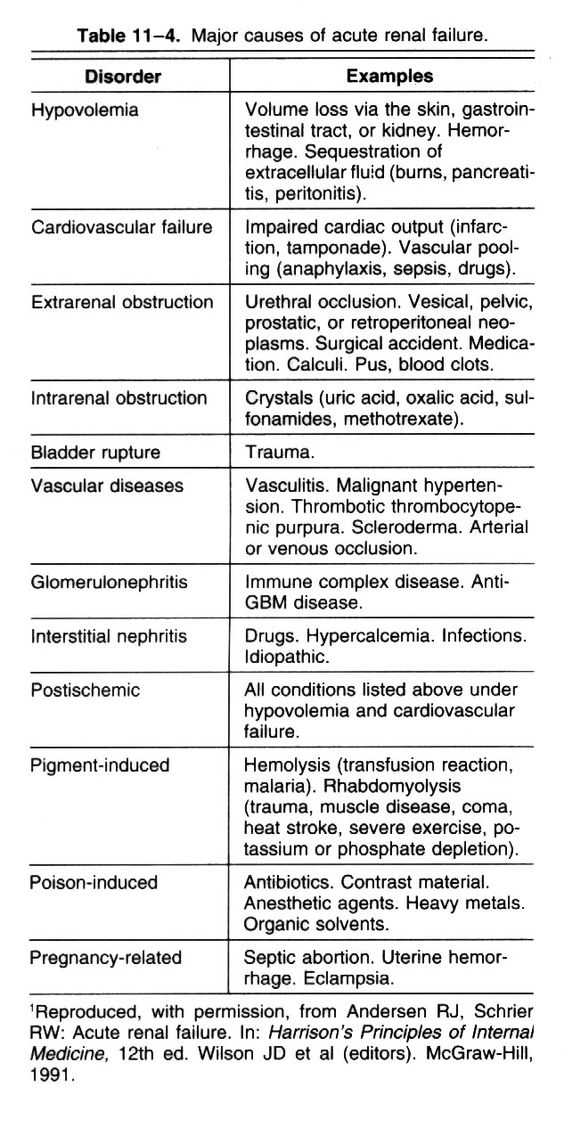 Nutrition Implications of Kidney Failures Diet Plans Pinterest - nurse researcher sample resume Nutrition Implications of Kidney Failures Diet Plans Pinterest - nurse researcher sample resume