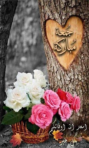 صور جمعه مباركه صور جمعة مباركة صور جمعه صور الجمعه Juma Mubarak Images Jummah Mubarak Messages Jumma Mubarik