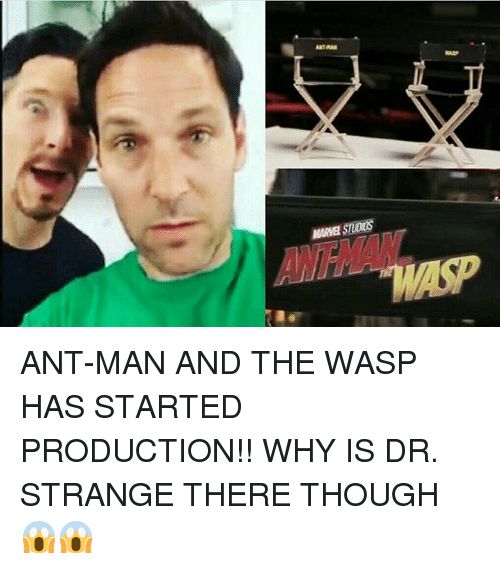 Ant-Man-Memes