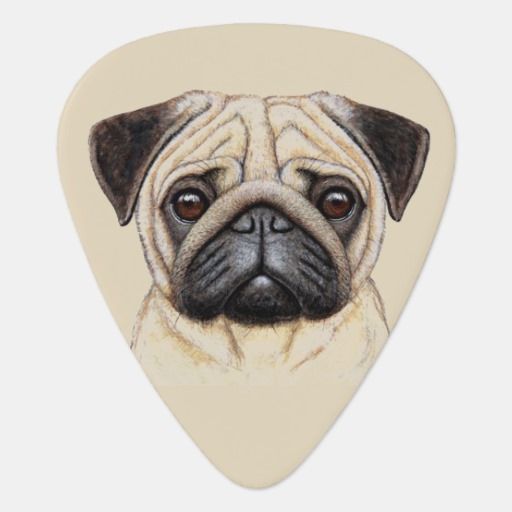 Cute Illustrated Pug Dog Guitar Pick Zazzle Com Black Pug