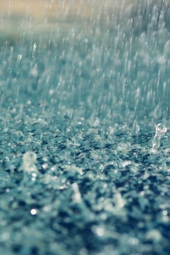 Where Should You Bless The Rains?
