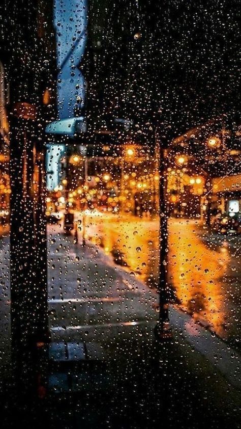 good-evening-nature-photos