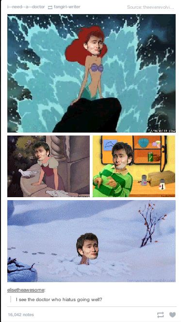 Literally Just 21 Funny “Doctor Who” Tumblr Posts