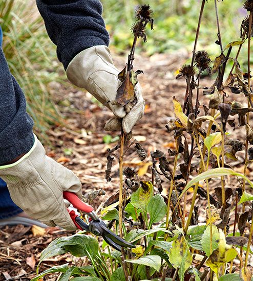 How To Clean Up Your Garden In Fall Autumn Home