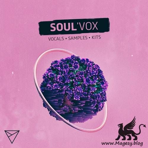 Soulvox Wav Midi Discover Magesy R Evolution Soul Singers Discover Vox