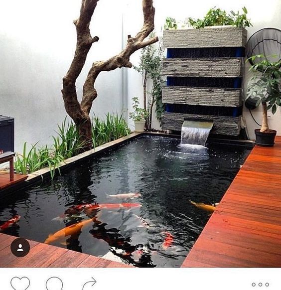 Desain Kolam Ikan Mini Untuk Taman Belakang Rumah Kolam Ikan Desain Lanskap Kolam Ikan Koi<script async src=