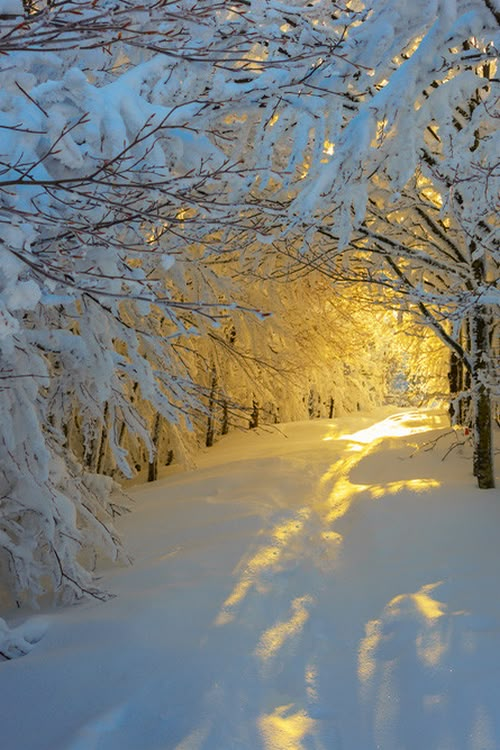 まさに絶景 思わずため息の出る雪のキレイな高画質画像 壁紙まとめ 写真まとめサイト Pictas