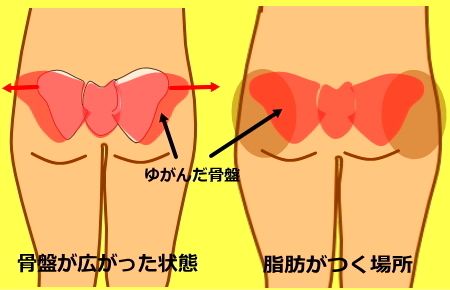 男のお尻を小さくするトレーニング5選 脂肪が付いてしまう原因は 男のお尻を小さくするトレーニング5選 脂肪が付いてしまう原因は