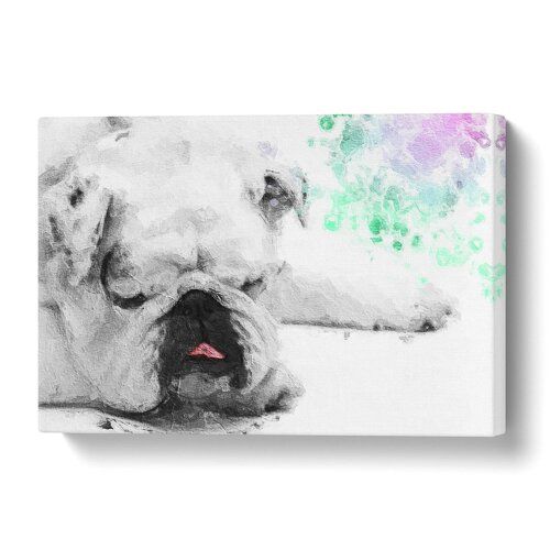 Sleeping White British Bulldog Painting On Wrapped Canvas Big Box