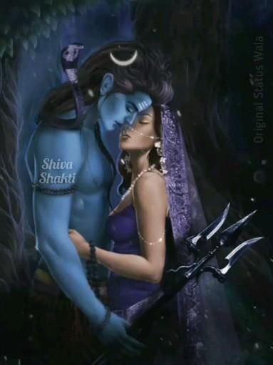 Shiva Love Shakti