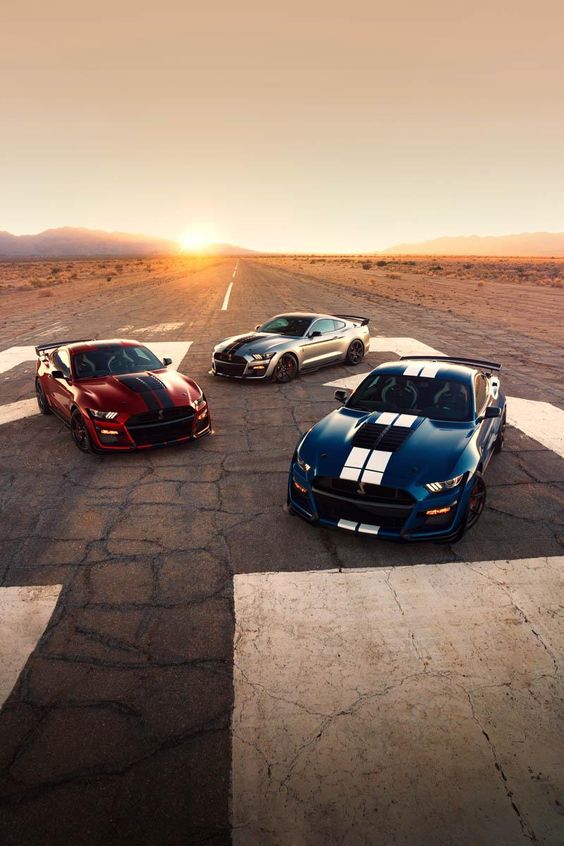 Shelby GT500 First Drive - Most Powerful Street-Legal Ford Ever