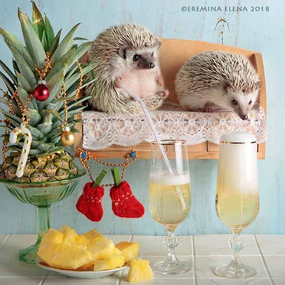 Home Alone by Elena Eremina on 500px