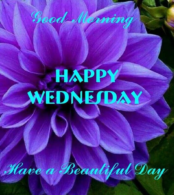 happy-wednesday