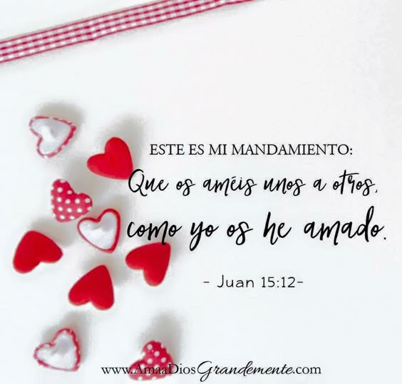 Juan 15:12 Este es mi mandamiento: Que os améis unos a otros, como yo os he amado.