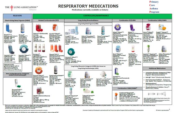 Stepwise Approach for Managing Asthma in Children *** Want to know - sample asthma action plan Stepwise Approach for Managing Asthma in Children *** Want to know - sample asthma action plan