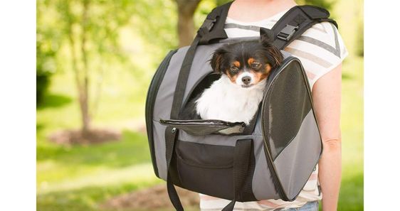 Iconic Pet Furrygo Luxury Pet Travel Backpack//Carrier Dark Grey