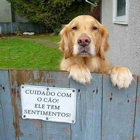 Sentimentais até demais! xD
