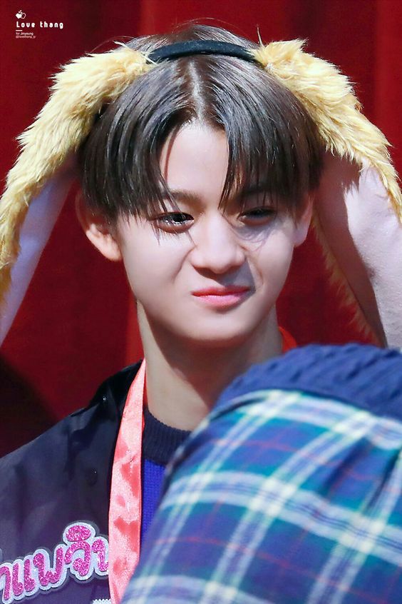 Where can I get this bunny???????