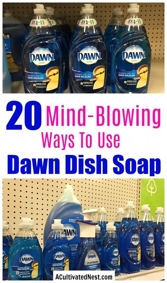 Can You Wash A Dog With Dawn Platinum Dawn Platinum Powerwash Dish Spray Dish Soap Fresh Scent Bundle 1 Spray 16 Oz Plus 2 Refills 16 Oz Ea In 2020 Dishwashing Liquid Liquid Dish Soap Fresh Scent