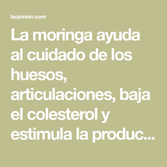 La Moringa Ayuda Al Cuidado De Los Huesos Articulaciones Baja El Colesterol Y Estimula La Producción De Colágeno Colageno Articulacion Bajar El Colesterol