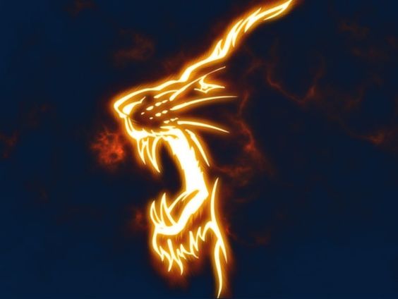 Fire Lion Lion King