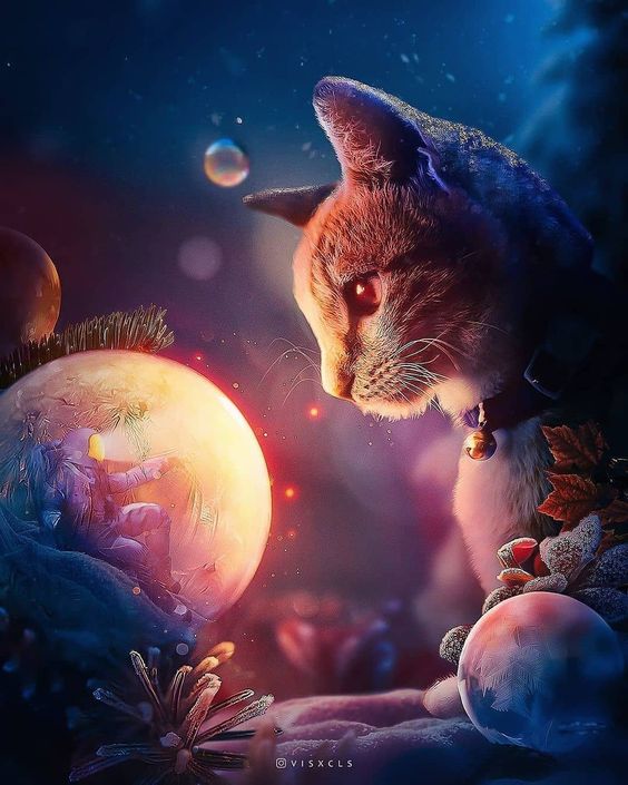 #animal #cat #wallpaper #fantasy