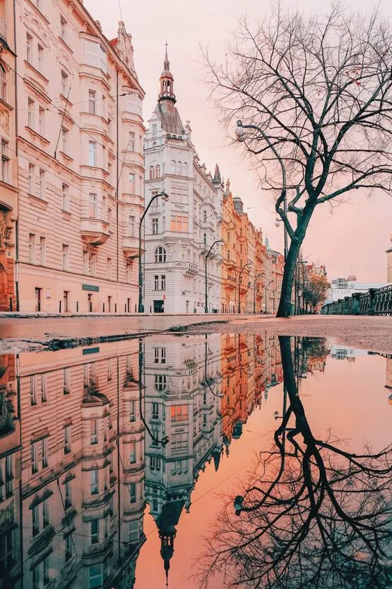 Top 25 Travel Tips for Paris - Rock a Little Travel