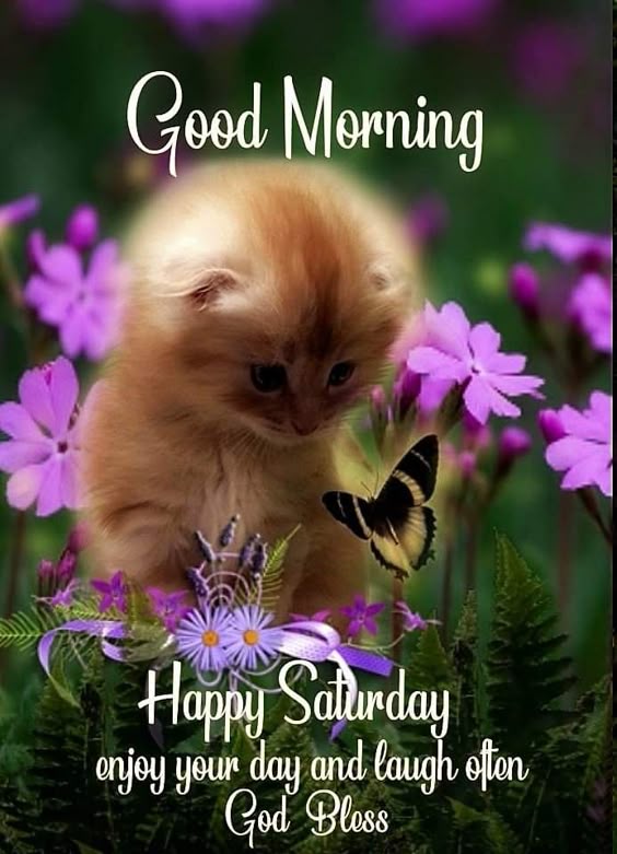 happy-saturday
