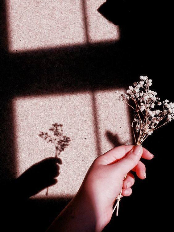 กลายร างเป นสาวต สต ก บ 20 ไอเด ยโพสต ร ปดอกไม ลงไอจ แบ Flower Aesthetic Tumblr Photography Aesthetic Photography