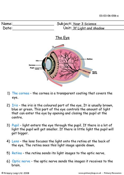 the eye primaryleap co uk parts of the eye science worksheets free worksheets for kids