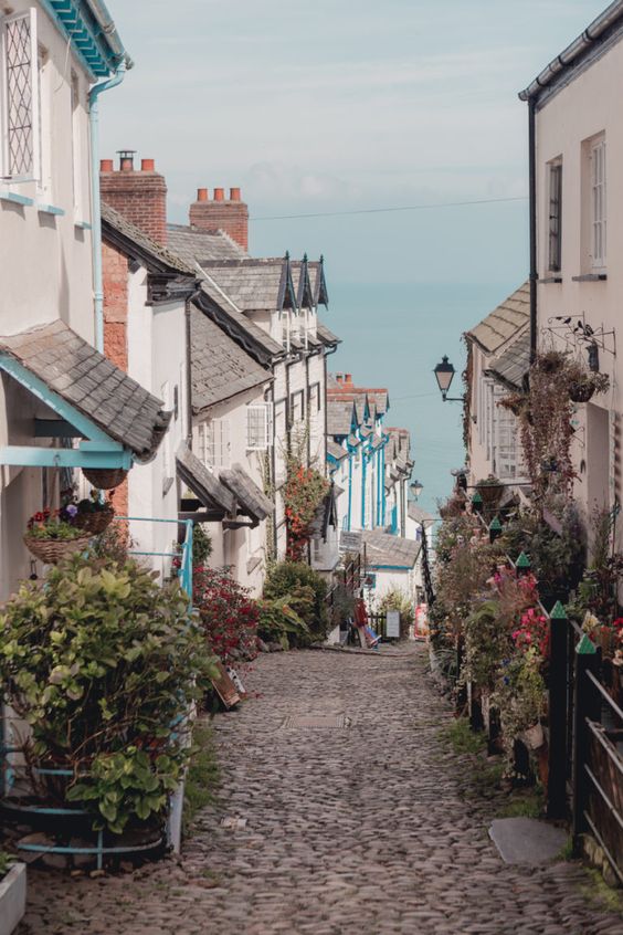 Clovelly Village, Harbour and Donkeys, Devon - monalogue