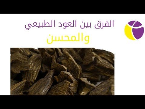 Pin By الصفوة للعود والعطور On Book Perfume Fragrance In 2021 Book Perfume Fragrances Perfume Women Perfume