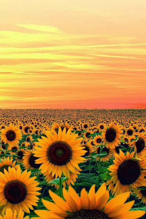 15 Most Beautiful Places to Visit in Maryland - The Crazy Tourist