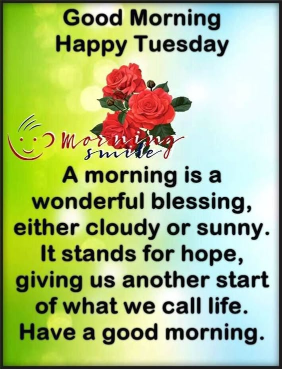 Good Morning & Happy Tuesday