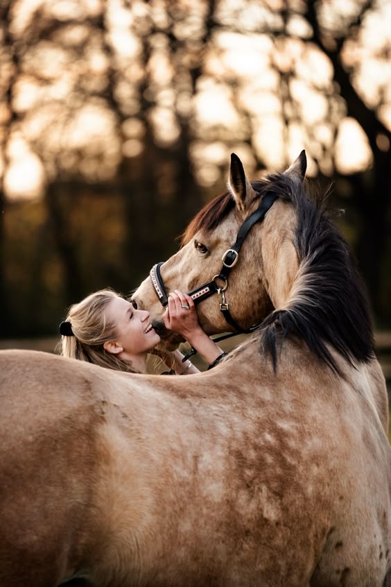 Horsephotoshoot during golden hour