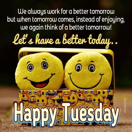 Good Morning Tuesday Quotes images in English | Happy Tuesday Quotes