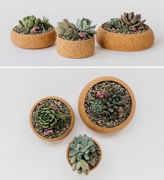 9 Modern Succulent Pots To Show Off Your Tiny Plants