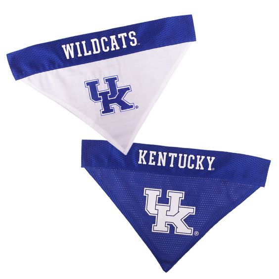 Zokee-University of Kentucky UK Nylon Adjustable Dog Collar