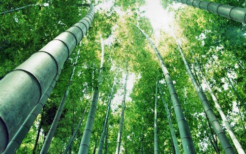 Nature Hd Images Big Size Hd Wallpapers 4 Us Beautiful Nature Pictures Beautiful Photography Nature Beautiful Photos Of Nature