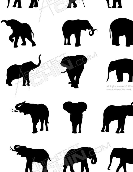 Elephant Silhouette, Printable, Digital Download, Elephant Clip Art, Animal Silhouette, Animal Clip Art, Mugs, Animal Graphics, Animal, PNG