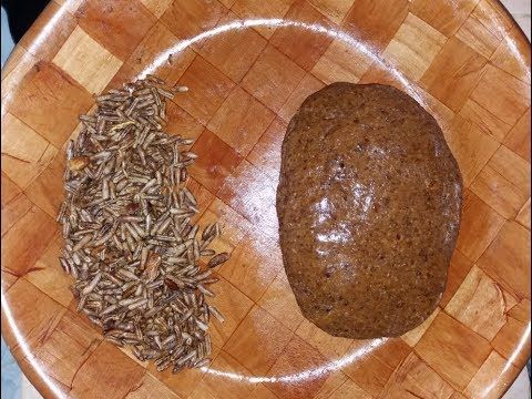 طريقتي في إزالة نواة التمر أو الغرس في لحظات Youtube Make It Yourself Blog