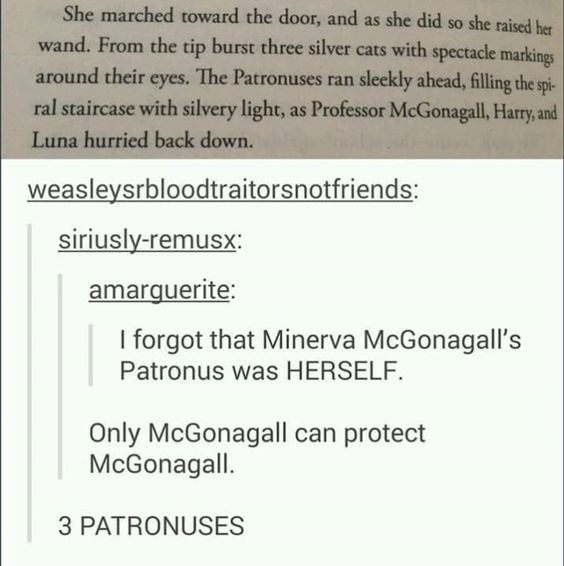 19 Tumblr Posts You Won\'t Understand If You Haven\'t Read The "Harry Potter" Books