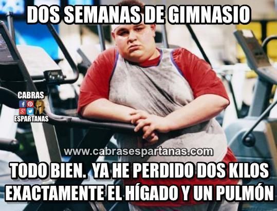 Como adelgazar mas rapido en el gym memes