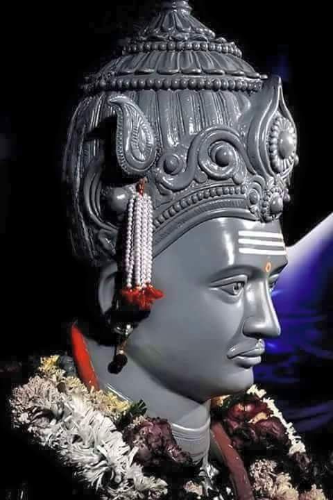 janavar-photo-3d