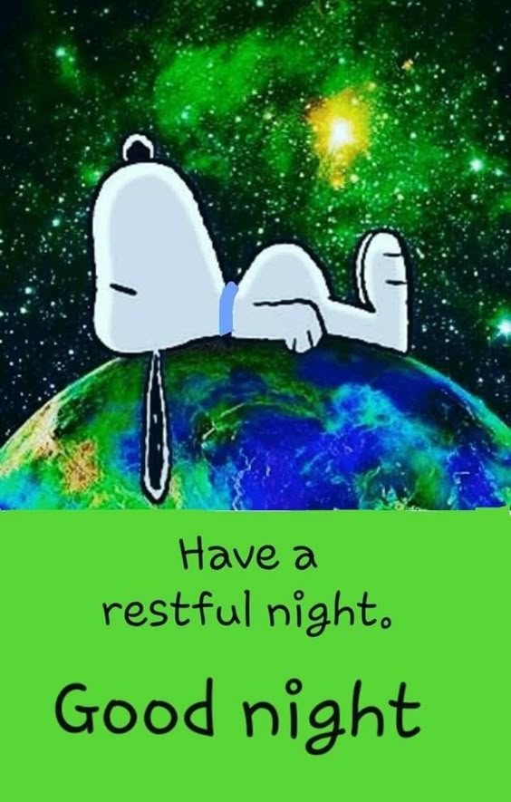 good-night