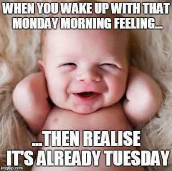 101 Funny Tuesday Memes When You\'re Happy You Survived a Workday